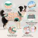 HeavenEye Dog Surgery Recovery Suit Onesies-Soft Cone Alternative for Female & Male Dogs, Post-Op Protective Wear, Stop Licking, Comfy Body Suit for Spay/Neuter After Surgery (Orange, 2XL)
