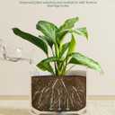 LE TAUCI Ceramic Pots for Plants, 10 Inch Plant Pot with Drainage Hole & Saucer, Sturdy & Modern Planters for Indoor Plants, Includes Mesh Screen, Fits Snake Plant & Monstera, Forest Green