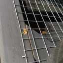 70 in Walk-in Catio with Window Access, Extra Large Outdoor Cat Enclosure for Multiple Cats, Waterproof Roof Cattery with Bridge and Scratching Post Outside Cat Patio Playpen Grey