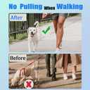 Prong Training Collar for Dogs, No Pull Collar Adjustable Dog Pinch Collar with Quick Release Buckle, for Small Medium Large Dogs, Extra Link and Caps (S: (13'' - 17'') 2.25mm)