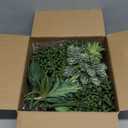 Winlyn 19 Pcs Assorted Artificial Succulents Plants Unpotted Small Green Hanging Succulent Aloe Fake Cacti Succulents Bulk for Succulent Garden Centerpiece Wreath Arrangement Indoor Outdoor Home Decor