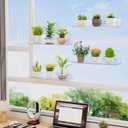 Lifewit Window Plant Floating Shelves 14.6x3.6, 2 Pack Acrylic Suction Cup Shelf, Window Sill Extender for Indoor Succulent Plants, Micro Greens, Seed Starter Pots, Herb Planters 37 x 9 cm/14.6x3.6, 3.9 X 14.96 X 1.89 Inches