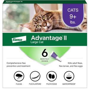 Advantage II Large Cat Vet-Recommended Flea Treatment & Prevention | Cats Over 9 lbs. | 6-Month Supply