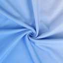 LilyCoco Womens Crew Neck T Shirts Summer Cute Basic Ombre Short Sleeve Tops Blue Large (Blue, L)