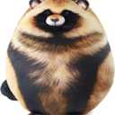 Raccoon Plush, 10" Raccoon Stuffed Animal, Cute Plushies for Girls, Soft Plush Pillow, Kitten Throw Pillow Doll Big Plush Toy Decoration Doll Gift for Kids Boys Birthday Christmas