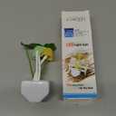 Sensor Led Night Light, Color Changing Plug-in LED Mushroom Dream Bed Lamp