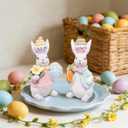 Hodao Easter Bunny Figurines Set of 2 Decor, Spring Decorative Rabbit Couple with Colorful Cake, and Easter Eggs Tabletop Home Decoration for Living Room, Entryway (Blue-pink)