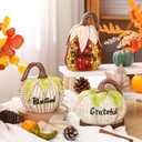 Wesiti Set of 3 Thanksgiving Fall Pumpkin Decorations 7 Inch Resin Artificial Corn Decorative Pumpkins with Blessed Grateful Thankful Table Centerpieces Decor for Thanksgiving Harvest Vintage Room