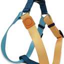 Tri-Color Dog Harness, Adjustable Step-in Design, No Pull, Heavy Duty, Medium Size, Blue Orange (M: 3/4"W x Chest 19''- 25")