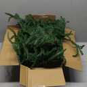 Hananona 4 Pcs 9 Ft Artificial Norfolk Pine Garlands, Real Touch Winter Pine Garland, Green Artificial Greenery Garland for Table, Mantle, Wall, Indoor, Outdoor Christmas Decorations (4, 9 Ft)