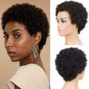 Afro Kinky Curly Human Hair Short Wigs for Women, Full and Fluffy Machine Made Wig Human Hair Pixie Cut Natural Looking Glueless Hair Replacement Wig Black Color (Afro)