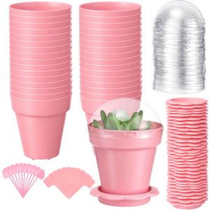 36 Packs Cupcake Plant Nursery Pots with Humidity Dome Small Flower Pots Plastic Planting Containers Cups with Saucers and Shovel for Indoor Outdoor Plant Succulent Display (Pink)