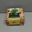 Indoor Herb Garden Starter Kit - Heirloom, Non-GMO Herb Seeds - Basil Thyme Parsley Cilantro Seed, Potting Soil, Pots, Scissors - DIY Grow Kits for Growing Herbs Indoors, Kitchen, Balcony, Window Sill (EXP 08/19/26)