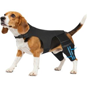 Dog Leg Braces for Torn ACL Hind Leg, with 4 Metal Stabilizers Support,Adjustable Dog Knee Braces for Back Leg, CCL, Luxating Patella, Ligament Injuries, Hip Dysplasia (Black, M)