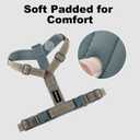 Plutus Pet No Pull Dog Harness, Adjustable Nylon Harness with Soft Padding, Reflective and Heavy Duty Dog Harness for Dogs(Beige, Large)