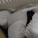 FUKUMARU Cute Dog Bed, Thickened Orthopedic Dog Sofa, Waterproof&Washable