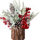hatisan Small Christmas Tree, Artificial Christmas Tree with Christmas Ornaments Pine Cone Berry, Tabletop Christmas Tree for Christmas Decorations Home Room Party Winter Indoor Outdoor((Red-Round)