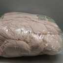 weigelia Queen Size Comforter Set Pink Comforter Modern Bedding Set for All Season Soft Lightweight Microfiber Girls Women Comforter Set (1 Blush Comforter, 2 Pillowcases)