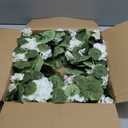 Briful 19.6-Inch Geraniums Wreath with Lush Greenery Faux Wreath, Spring Summer White Geraniums Artificial Wreath for Front Door Wall Mantel Decor, Indoor Outdoor Spring Wreath