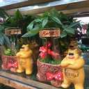 Pack of 30 Copper Plant Labels for Garden, Metal Plant Markers Nameplate, Plant Tags for Outdoor and Potted Plants (10" x 2.6")