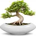 Ceramic Bonsai Tree Pot - 18 Inch Ceramic Pots for Plants, Large Succulent Planter with Drainage Hole for Indoor Outdoor, Unique Planters for Flower, Home Decor, Gardening Gifts, White-Black