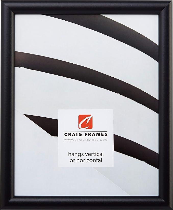 Craig Frames 13x19 Black Picture Frame, Wall Decor for Art and Photos
A lightweight, shatter resistant acrylic front, made in the USA for a gallery display