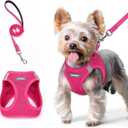 rabbitgoo Dog Harness Small Sized and Leash Set, Step in Soft Light Puppy Vest, Breathable Mesh Pet Harness, Reflective for Safe Easy Walking, Rose Red XS (XS (Chest: 13.3 - 15.5"))