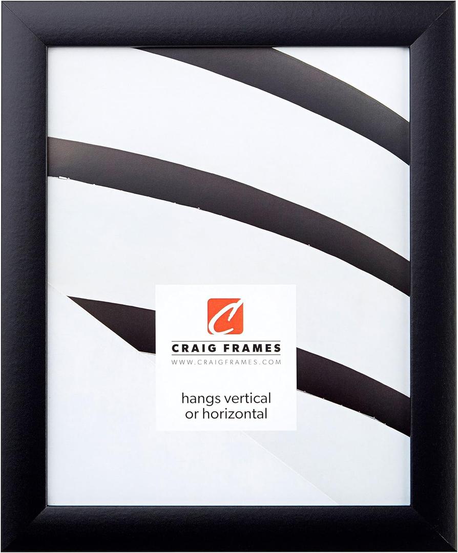Craig Frames 1WB3BK 21 by 36-Inch Picture Frame, Smooth Finish, 1-Inch Wide, Black