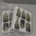 TBWIND 12pcs Green Glass Bud Vases Set, Small Vases for Flowers, Bud Vase for Centerpieces in Bulk, Mini Vintage Vase for Wedding Decorations, Office and Home Table Flower Décor