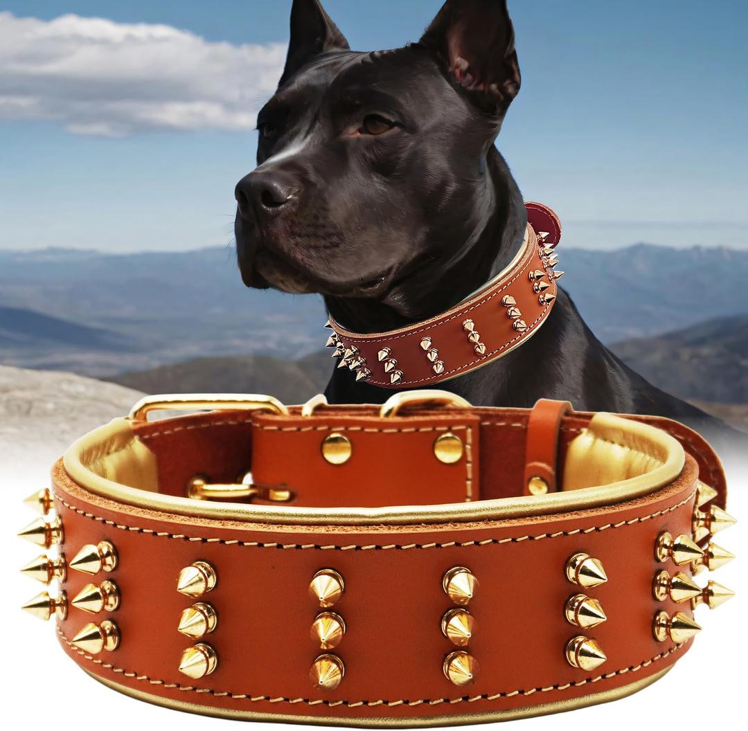 Spiked Leather Dog Collar  Premium Handmade Genuine Leather, 2.2-Inch Wide, Bold Protection and Stylish Design, Ideal for Powerful Breeds- Fiery Orange 20.5-24.5 inches