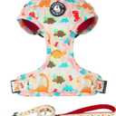 Adjustable Dog Harness and Leash Set for Girl Air Mesh Dog Vest Harness 5Ft Pet Training Leash with Soft Handle Pet Escape Proof for Small Medium Large Dogs (Dinosaur, M) (M (Neck 13.4"-16.5"; Chest 17.7"-23"))