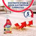 Resolve Pet Specialist Carpet Cleaner Spray for Removal of Pet Stains & Odors Up to 7 Days Old, 22oz