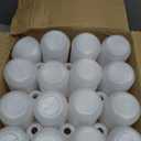 Zubebe 24 Pack 32 oz Plastic Spray Bottle Bulk Empty Leakproof Heavy Duty Spray Bottles for Cleaning Supplies Mist Bottles with Label and Adjustable Nozzle for Plant(Red, White,Clear Scale)