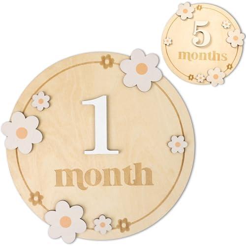 Baby Monthly Milestone Cards - Wooden Monthly Milestone Discs - Newborn Photography Props to Document Your Baby´s Growth - Baby Announcement Sign (B06)