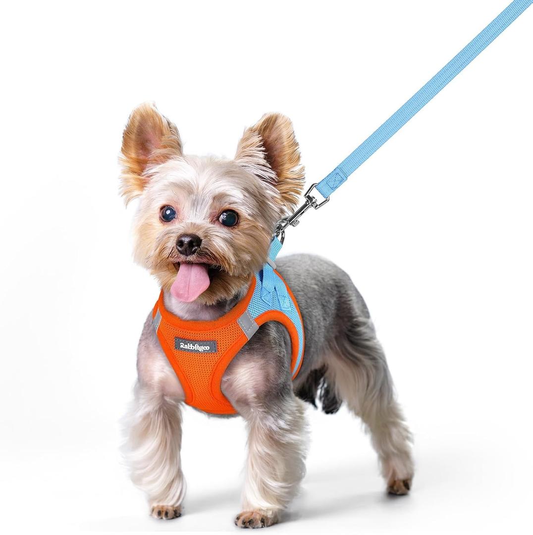 rabbitgoo Dog Harness Small Sized and Leash Set, Step in Soft Light Puppy Vest, Breathable Mesh Pet Harness, Reflective for Safe Easy Walking, Blue & Orange XS (XS (Chest: 13.3 - 15.5"))