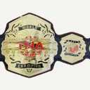 TNA World Wrestling Championship Belt Adult Gold Plated