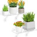 Lifewit 6" Extra Wide & Strong Window Plant Floating Shelves 2 Pack, Heavy Duty Acrylic Suction Cup Shelf, Sill Extender for Succulent Plants, Seed Starter Pots, Herb Planters 38 x 15 cm/15.2x6