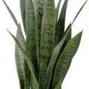 26" Artificial Sansevieria Plant Faux Snake Plant in Pot for Home Dcor Office Decoration
