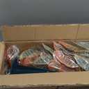 35inch Artificial Croton Plant with Ground Spike, 2 Pack Artificial Plants Outdoors Front Porch, Lifelike Faux Fiddle Leaf Fig Tree for Home Garden Yard Decor