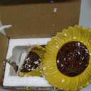 Sunflower Shaped Ceramic Spoon Rest - 2 PCS for Stove Top & Counter