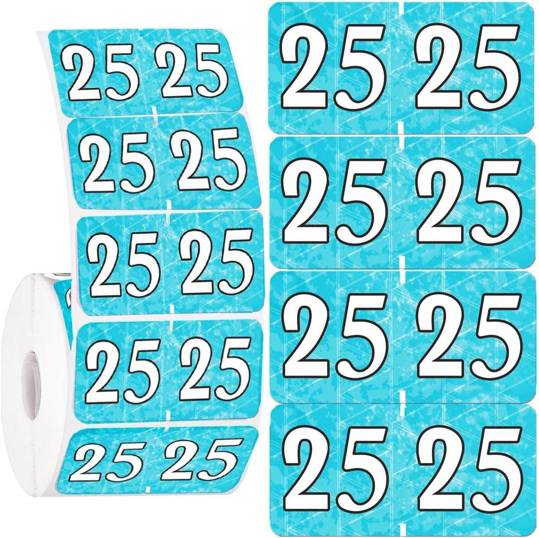Hodmopli 500 Pieces 2025 Year Stickers, File Folder Labels, Office Supplies, Rectangle, Turquoise, 0.75 x 1.5 inch