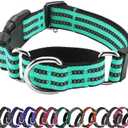 Hikiko Martingale Dog Collars Reflective Nylon Dog Collar with Quick Release Buckle Adjustable Training No Slip Dog Collar (Small, Turquoise)