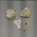 yueton Heart Shaped 12 inch Latex Balloon for Home Room Celebration Party, Birthday Decoration, white and beige