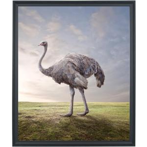 LTYHHK 22x24 Picture Frames Solid Wood 22x24 Photo Frame 22x24Poster Frames 22x24Diamond Painting Frames Black (L23B2224)