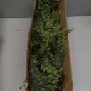 9FT Christmas Cedar Garland Artificial Real Touch Thickness Realistic Greenery Pine Garland for Mantle Fireplace Outdoor Indoor Christmas Decorations (9FT With Wire)