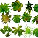 Fake Succulent Plant,Mini Artificial Succulents,Artificial Air Plants That Look Real,Plastic plant For Garden & Outdoor Home Dcor (12, Green)