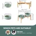 Havniva Ceramic 1.2 Cup Raised Slow Feeder Dog Bowl Set, Elevated 6.1inch Bowl and 7.3inch Puzzle Slow Food Dish with Wooden Stand for Medium and Small Dog, Anti-Gulping (2 x Light Green+ Stand)