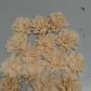 YELARXI Chiffon Flowers, Sewing Fabric Appliques, Chiffon Flowers Appliques - Fitting for (Women/DIY Crafts/Headbands/Hair Accessories/Wedding/Party/Corsage) 2 Inch & 15 Pack & Khaki