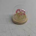 ONXE Birthday Flower Gifts for Mom,Tulips Night Light Small Glass Flower Lamp with Wooden Base for Home Decor Romantic Unique Christmas Gift for Women Girlfriend Sister Grandma Wife Her