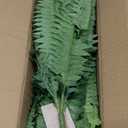 Senjie Artificial Boston Fern 2 Set 55 Branches Fake Ferns for Outdoors 32Inch Faux Plant for Home Living Room Office Decor